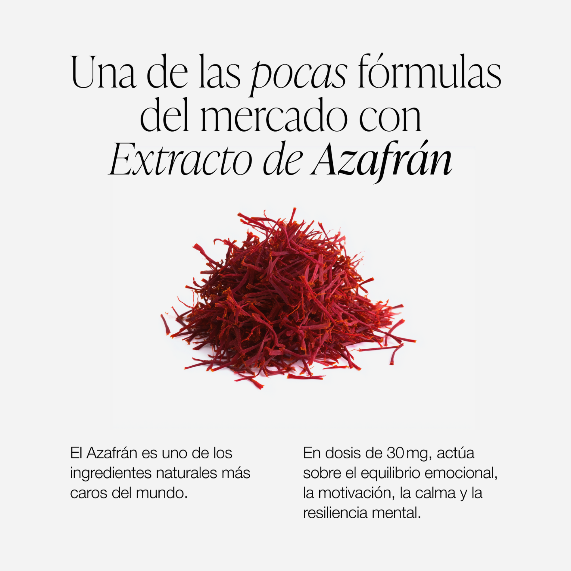 ZZEN CALM | Ashwagandha KSM-66