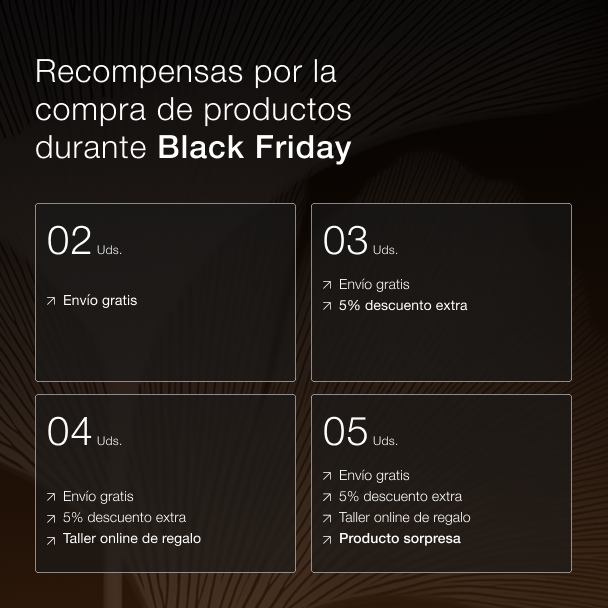 ZZEN FOCUS | Natural Nootropic