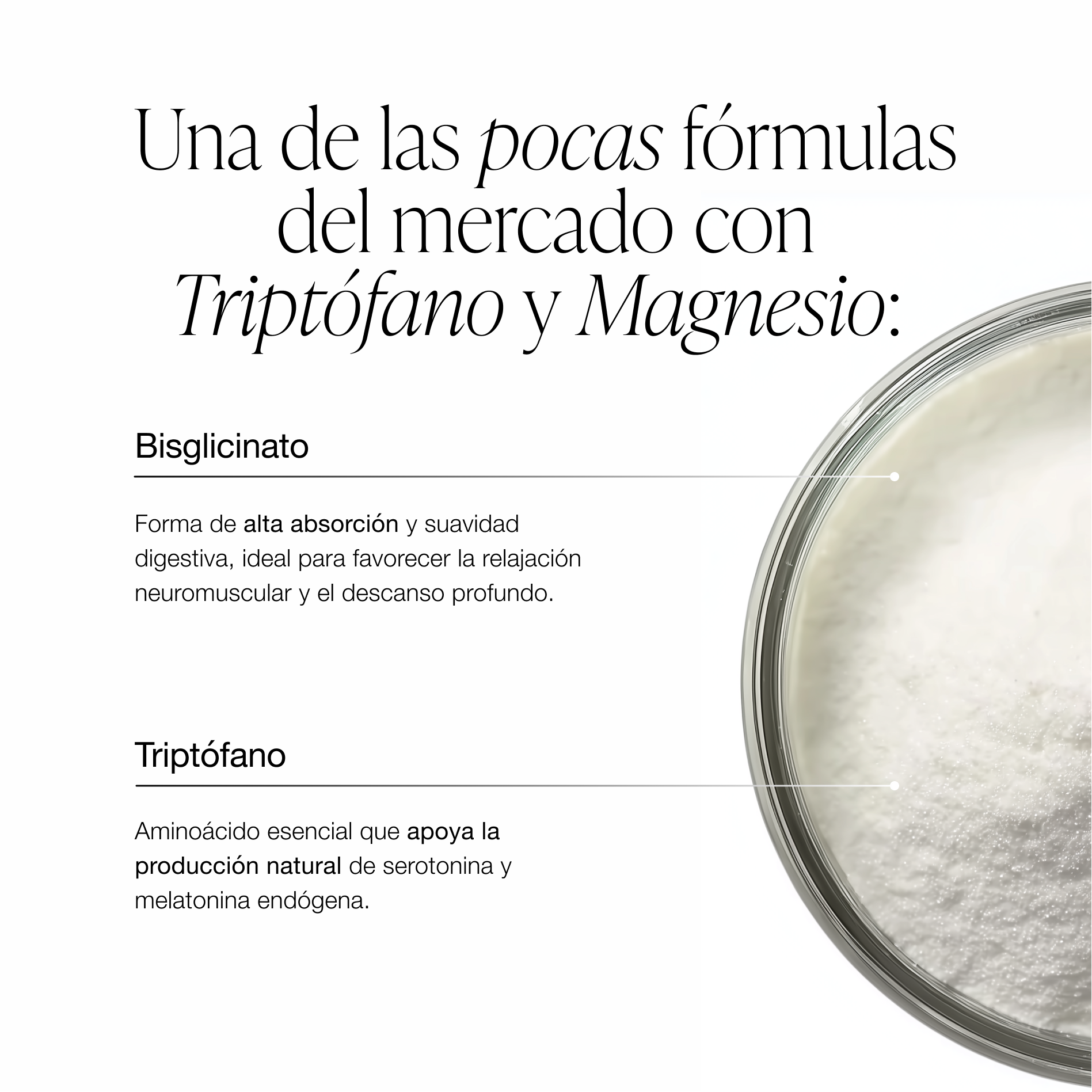 ZZEN SLEEP | Magnesio y Triptófano