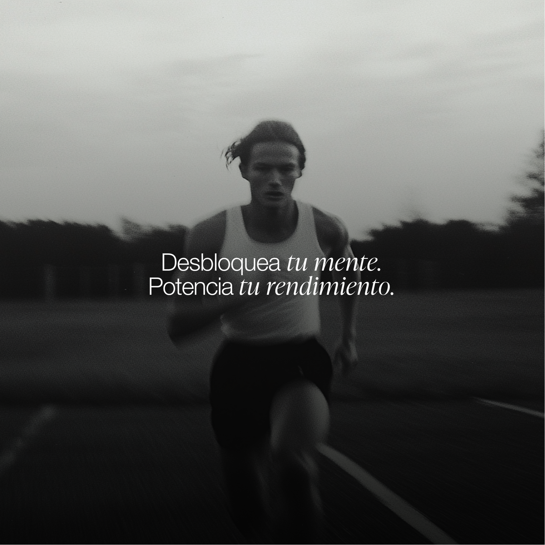 ZZEN FOCUS | Natural Nootropic