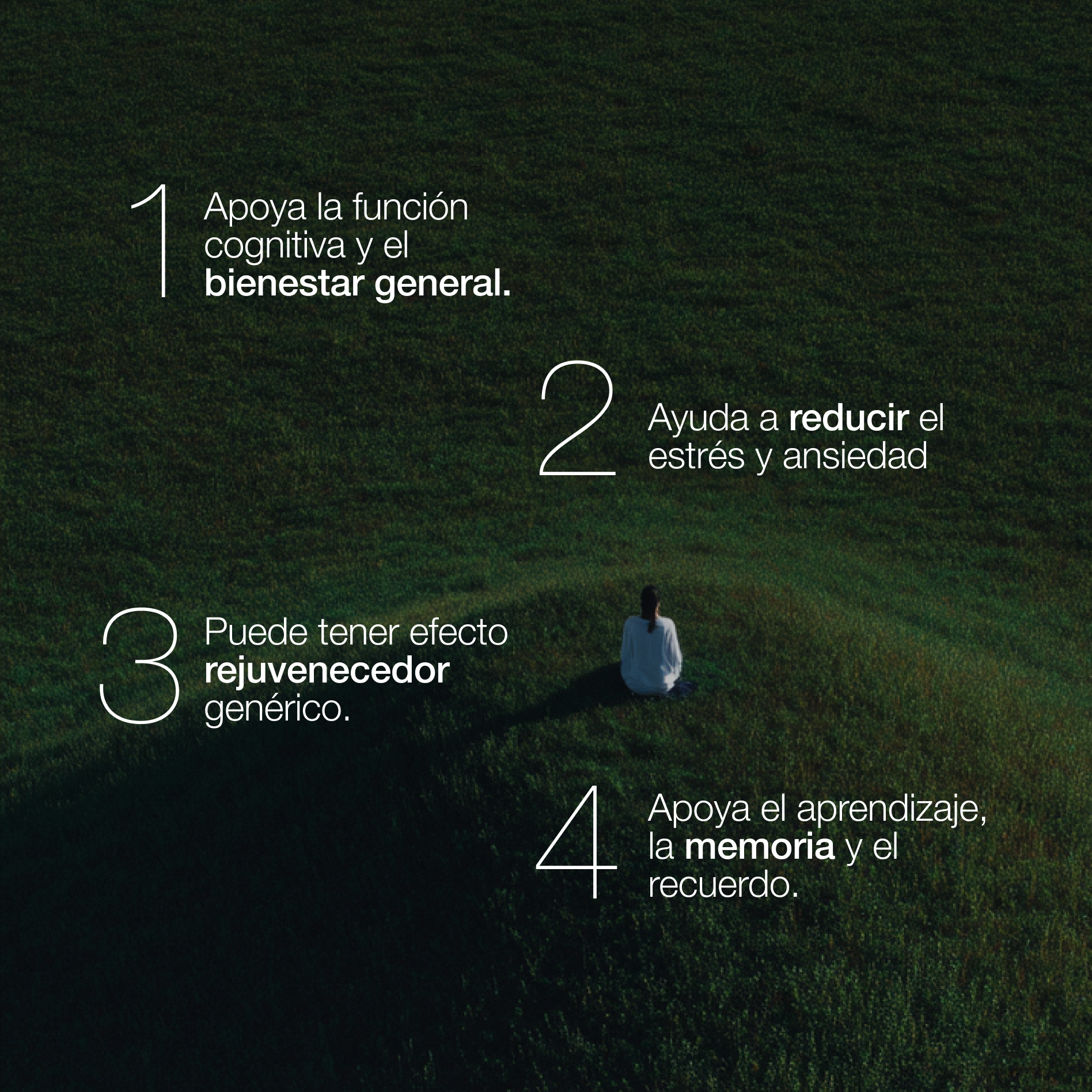 ZZEN CALM | Ashwagandha KSM-66