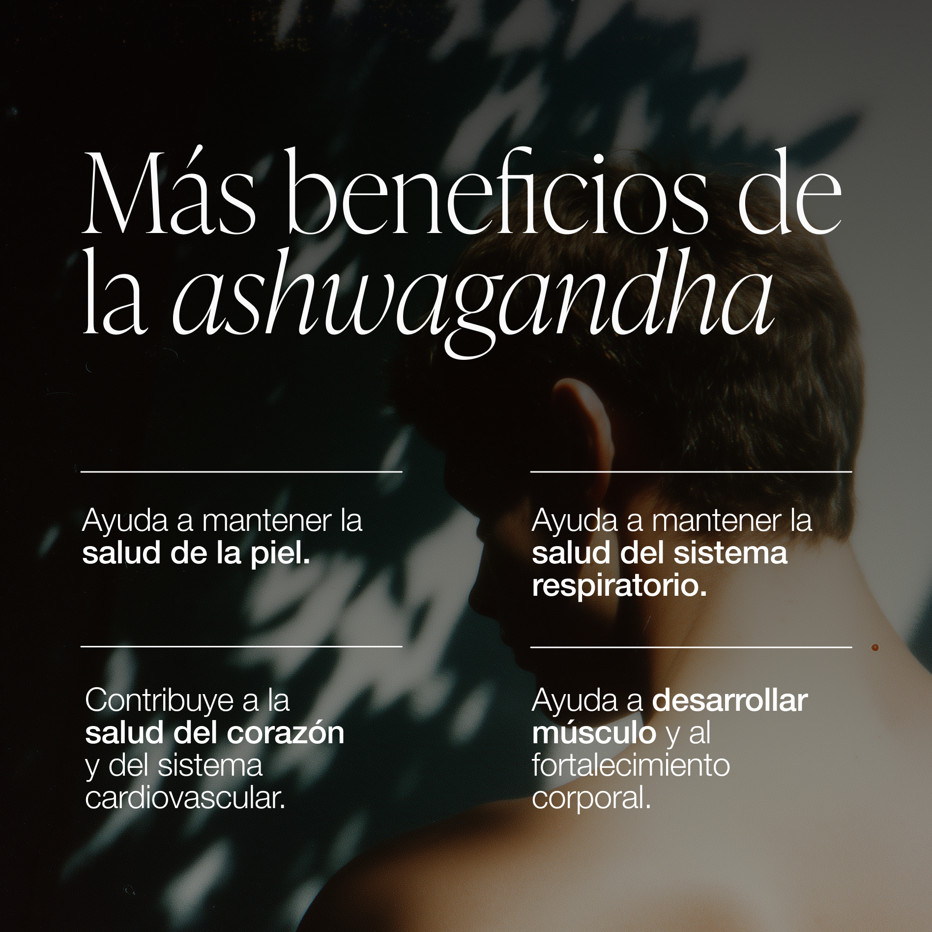 ZZEN CALM | Ashwagandha