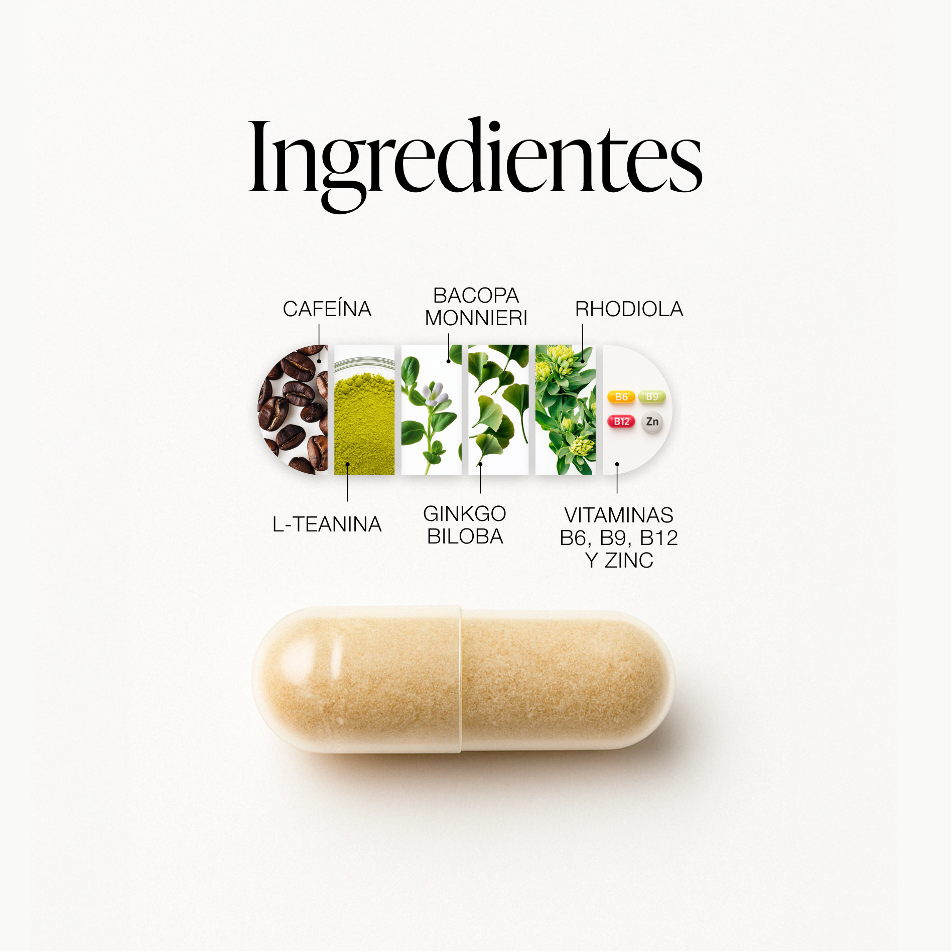 ZZEN FOCUS | Natural Nootropic