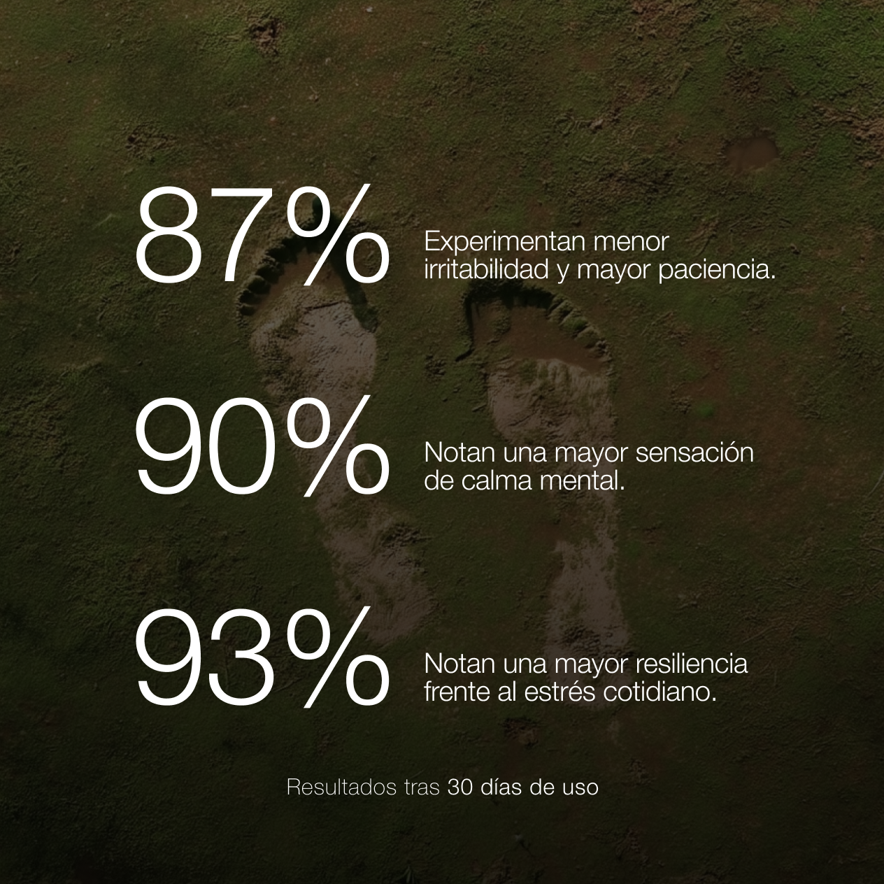 ZZEN CALM | Ashwagandha KSM-66