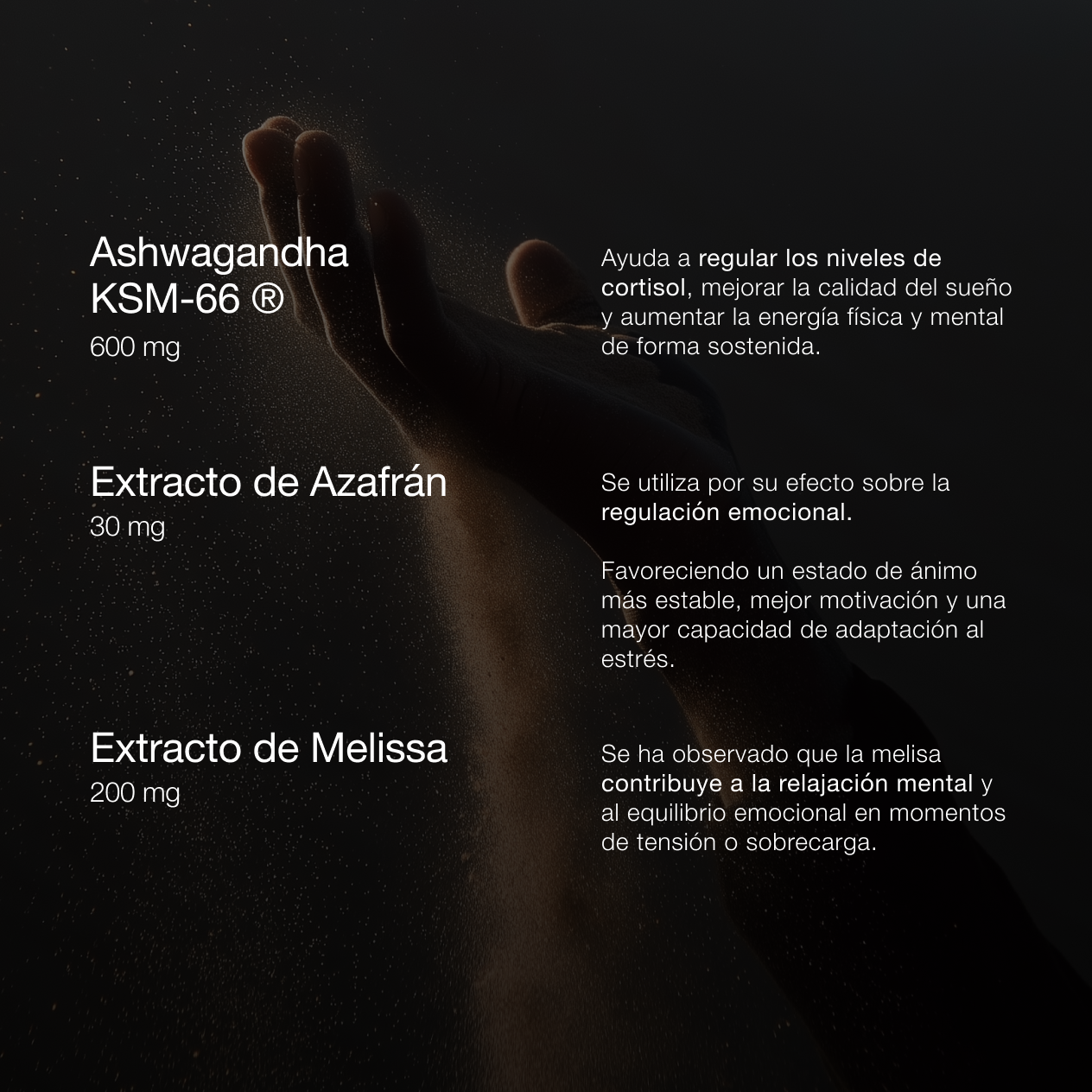 ZZEN CALM | Ashwagandha KSM-66