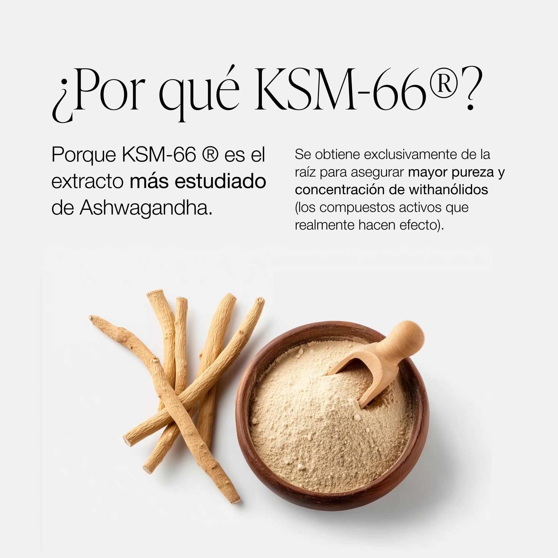 ZZEN CALM | Ashwagandha KSM-66