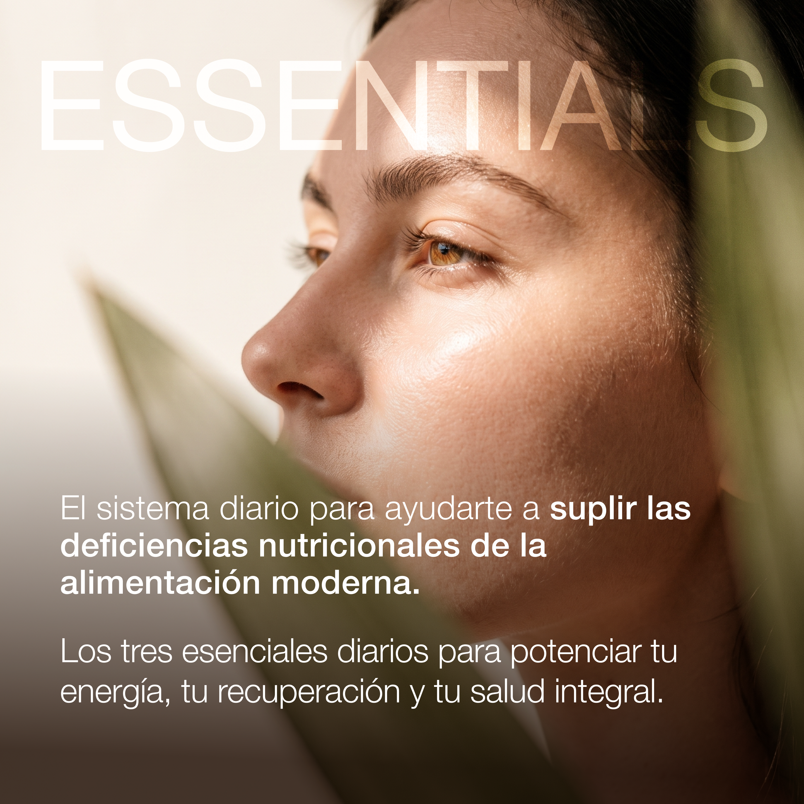 [es]