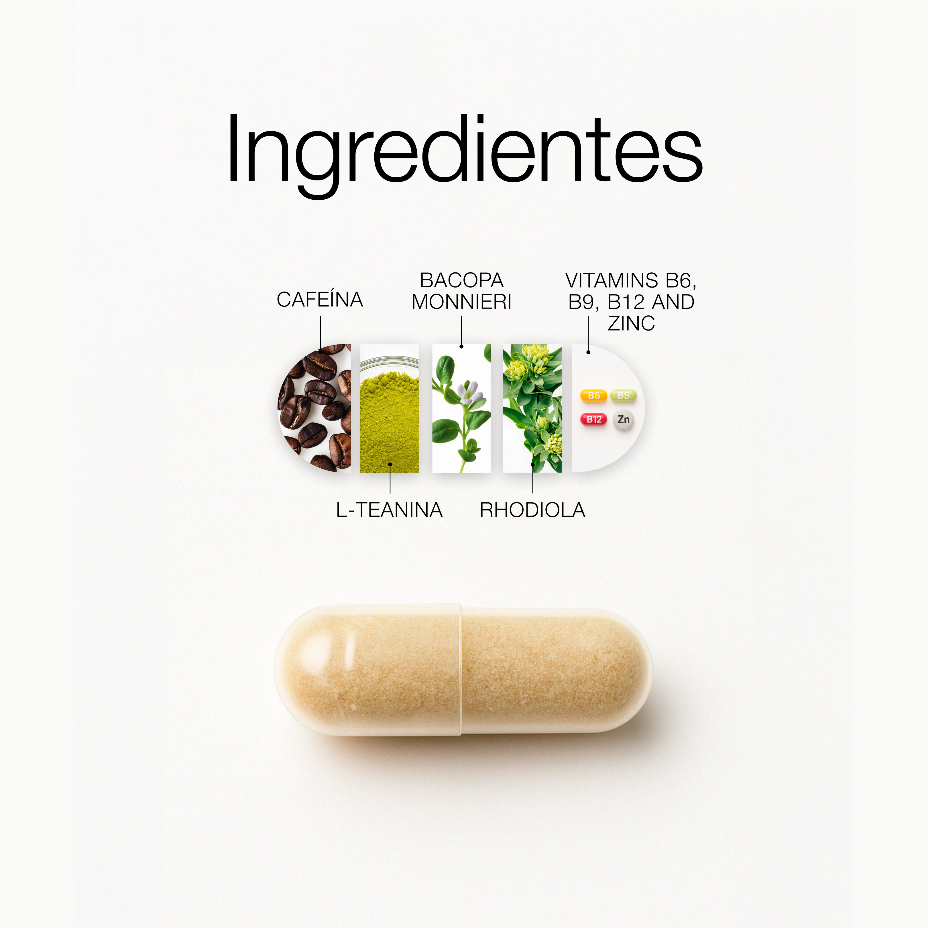 ZZEN FOCUS | Natural Nootropic