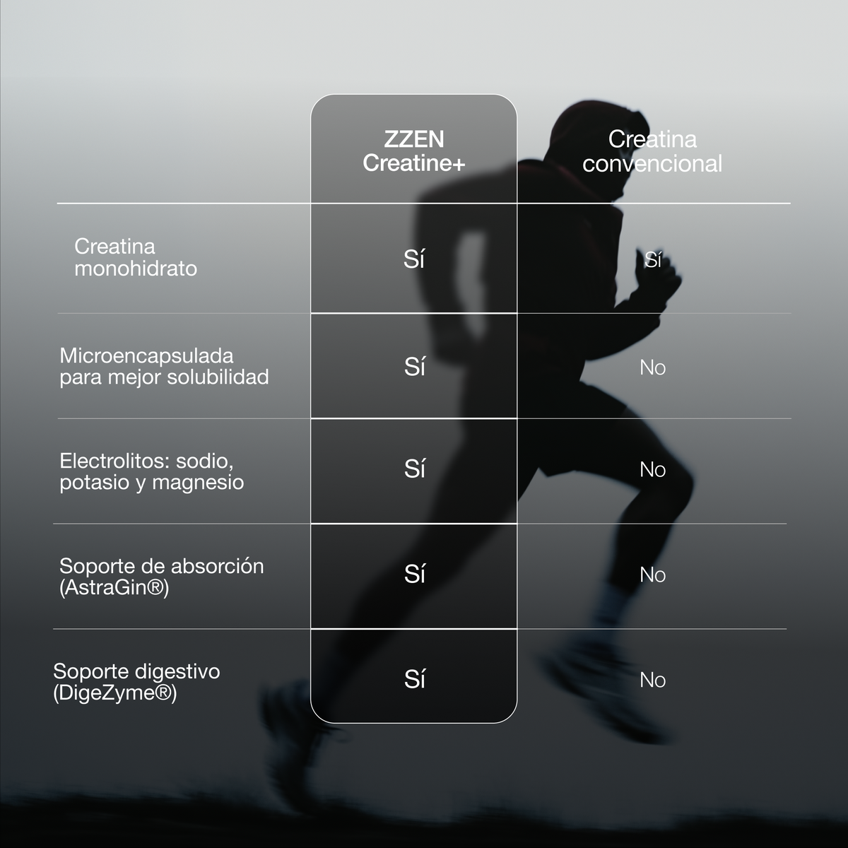 ZZEN Creatine+ | Creatina monohidrato microencapsulada