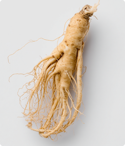 Ginseng