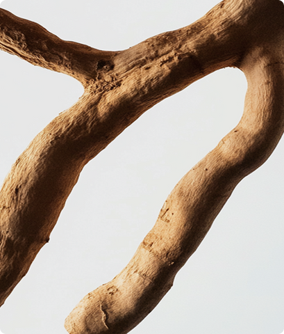 Ashwagandha KSM-66®