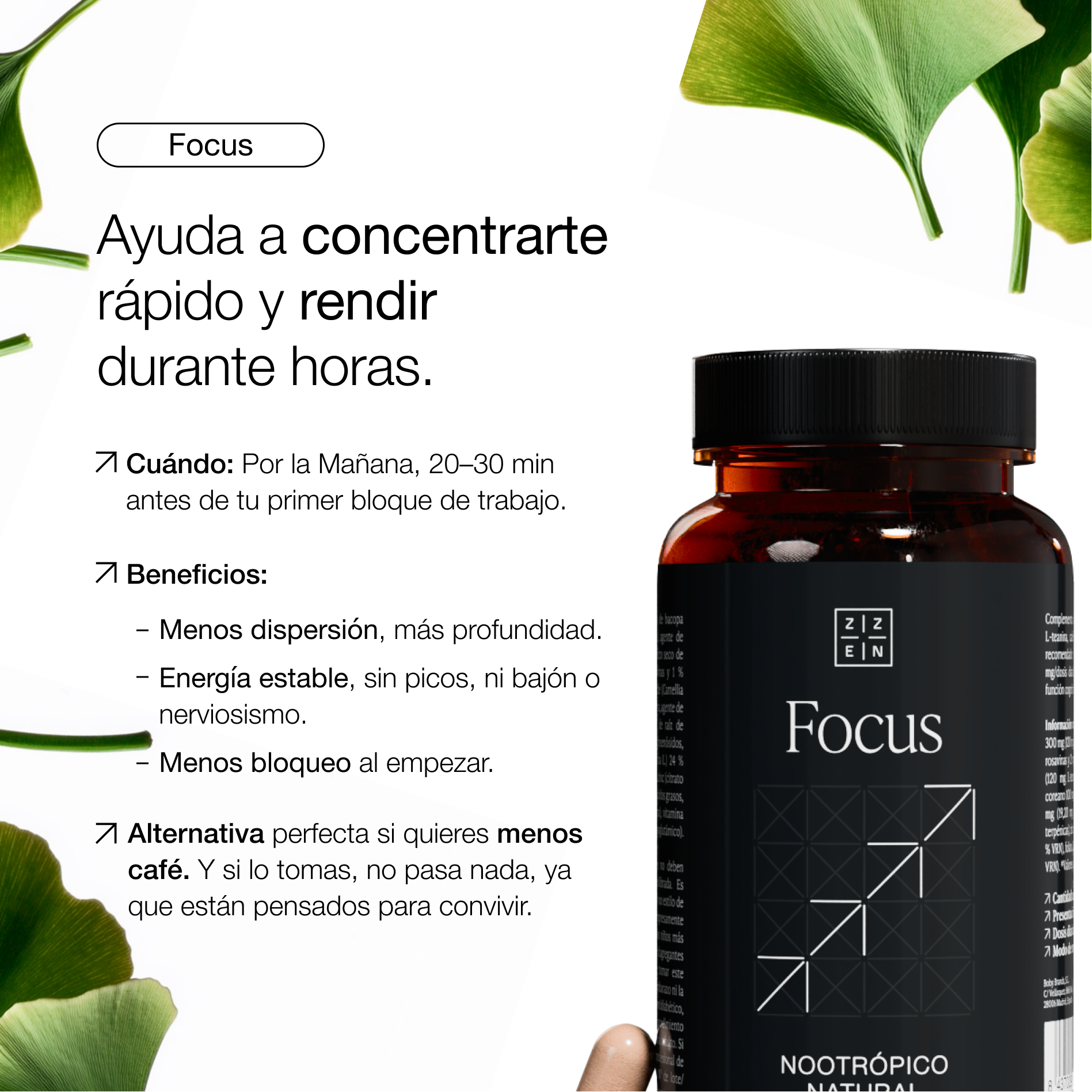 [es] Beneficios ZZEN Focus