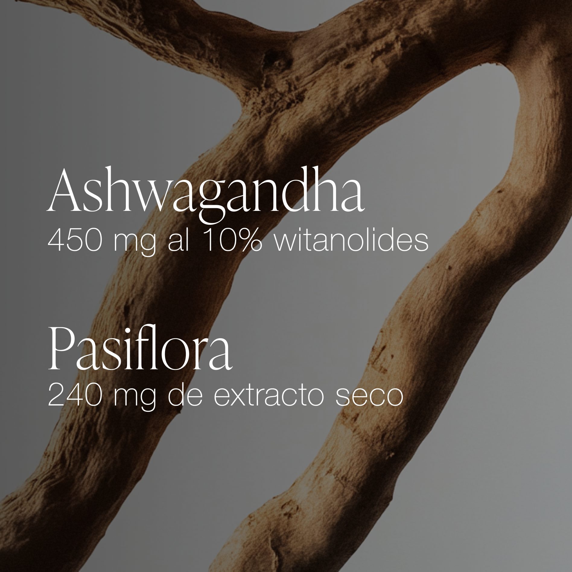 ZZEN CALM | Ashwagandha
