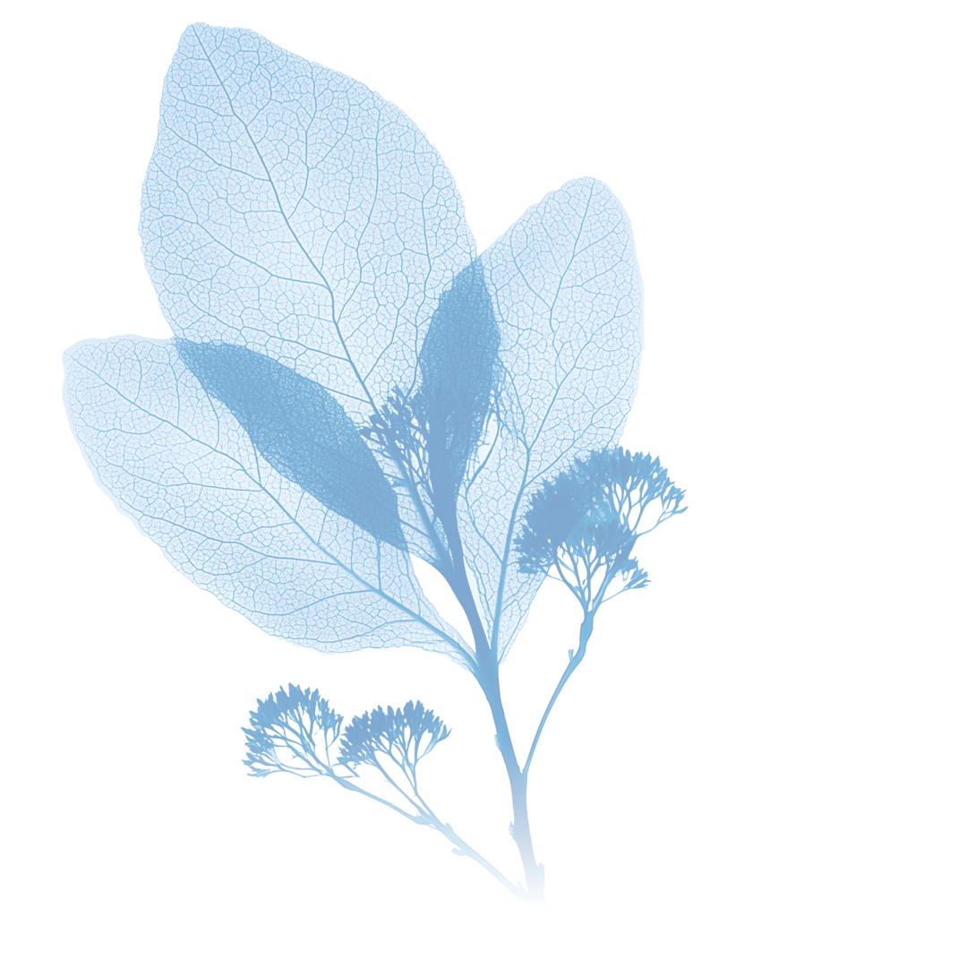 Desktop image