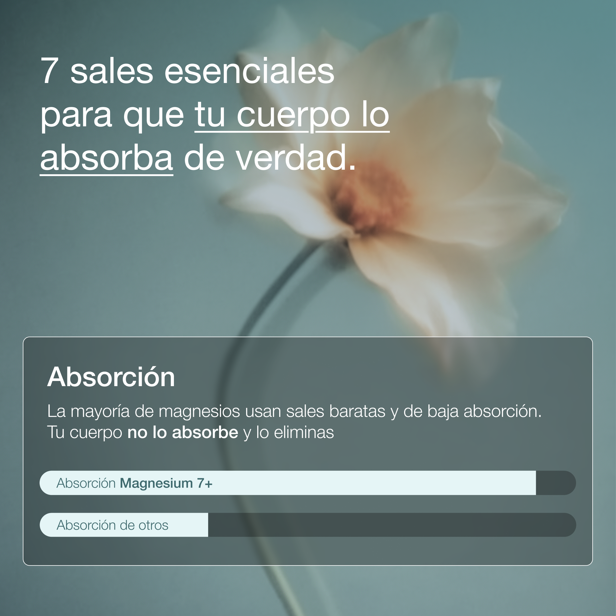 [es]